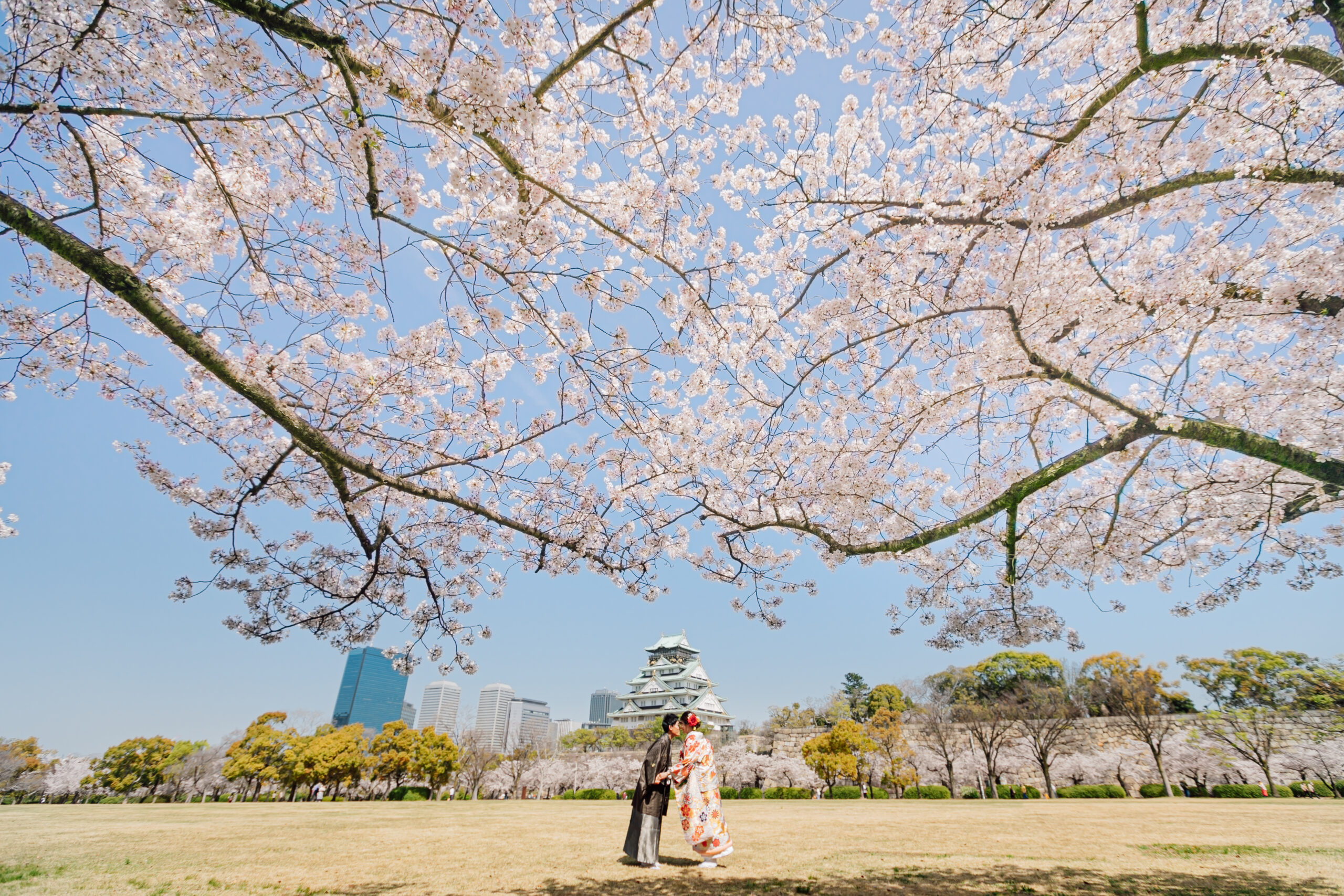 大阪城 婚攝 和服 櫻花