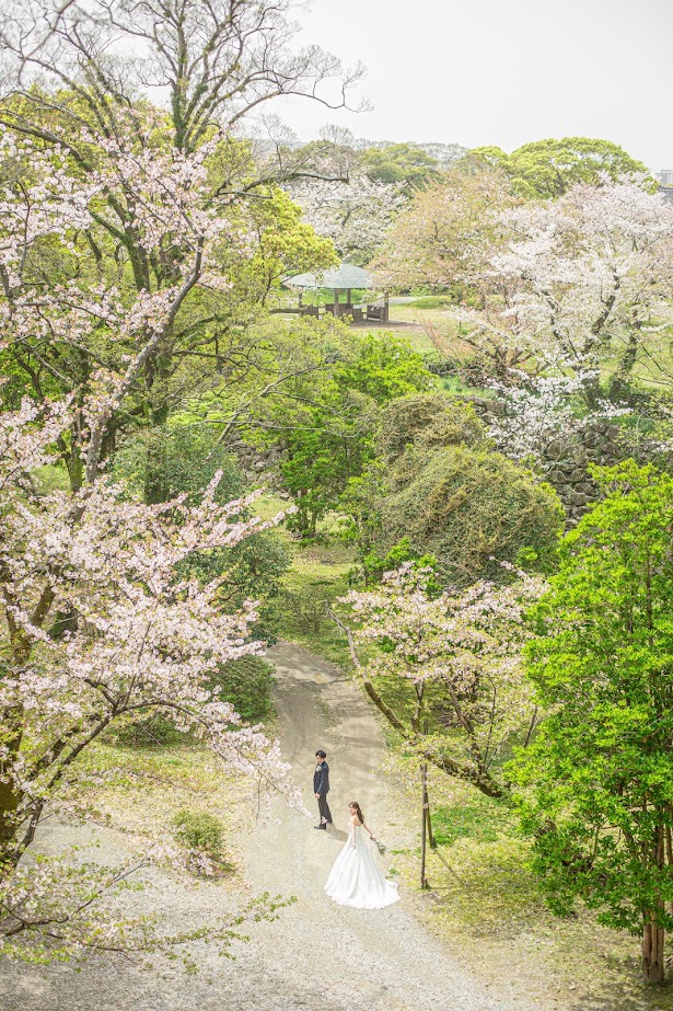 日本 福岡 婚攝 櫻花